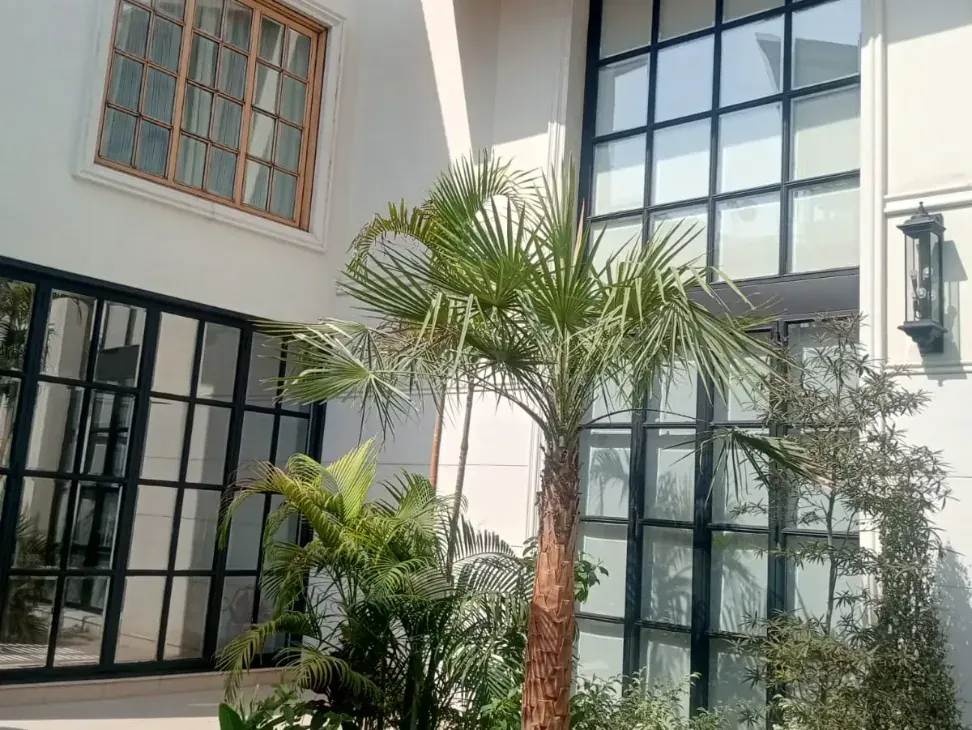 A private home in DHA Lahore, black-framed glass filmed on every elevation around a planted courtyard