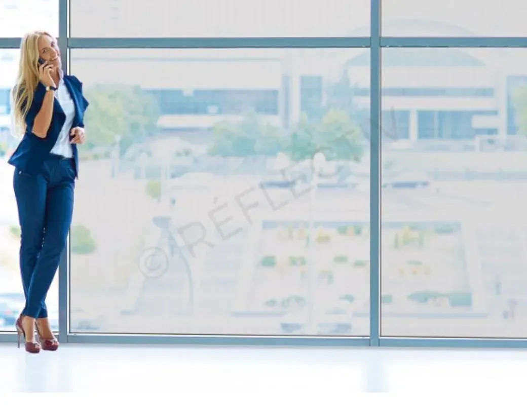 Reflectiv EXT 600, solar film
