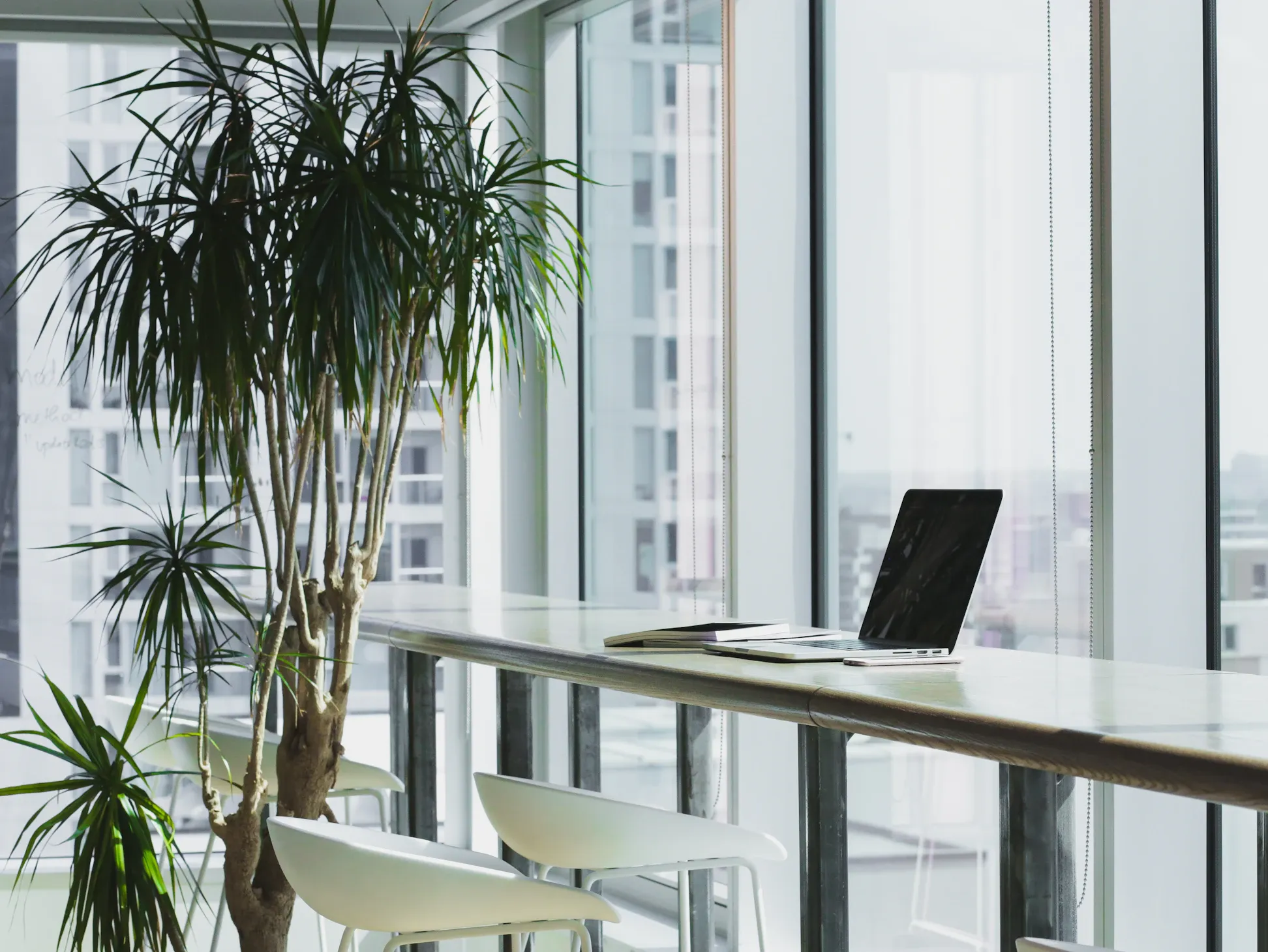 Bright, sunlit office interior with daylight through a large glass window